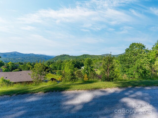 LOT4 Mitchell View Dr, Hendersonville, NC 28792 - photo 5