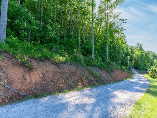 LOT4 Mitchell View Dr, Hendersonville, NC 28792 - photo 6