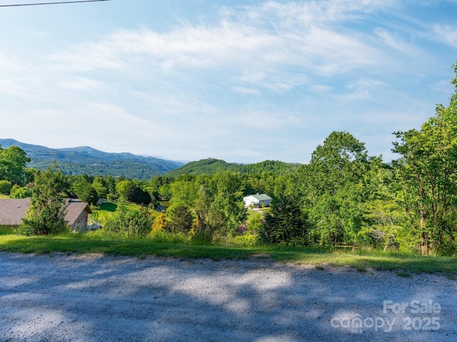 LOT4 Mitchell View Dr, Hendersonville, NC 28792 - photo 7
