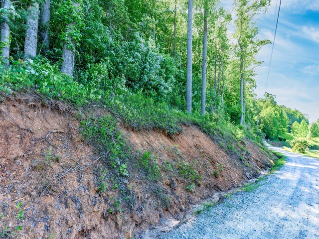 LOT4 Mitchell View Dr, Hendersonville, NC 28792 - photo 8