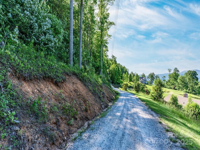 LOT4 Mitchell View Dr, Hendersonville, NC 28792 - photo 9