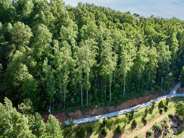 LOT4 Mitchell View Dr, Hendersonville, NC 28792 - photo 10