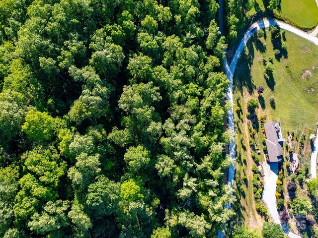 LOT4 Mitchell View Dr, Hendersonville, NC 28792 - photo 13