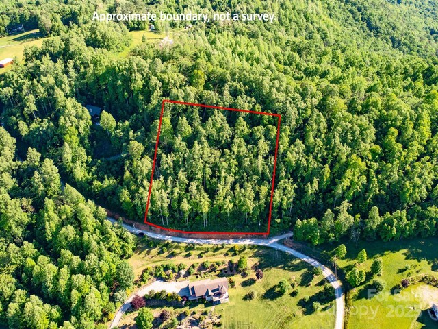 LOT4 Mitchell View Dr, Hendersonville, NC 28792 - photo 15