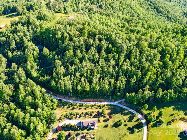 LOT4 Mitchell View Dr, Hendersonville, NC 28792 - photo 16