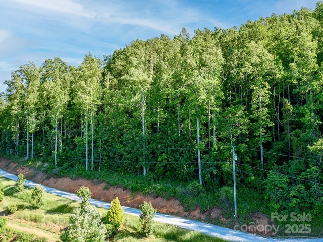 LOT4 Mitchell View Dr, Hendersonville, NC 28792 - photo 17