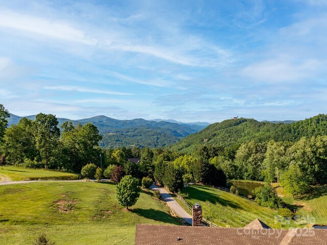 LOT4 Mitchell View Dr, Hendersonville, NC 28792 - photo 19