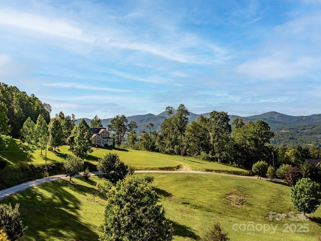 LOT4 Mitchell View Dr, Hendersonville, NC 28792 - photo 20