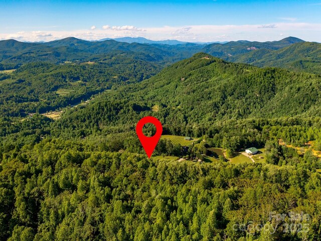 LOT4 Mitchell View Dr, Hendersonville, NC 28792 - photo 21