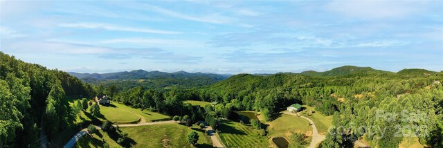 LOT4 Mitchell View Dr, Hendersonville, NC 28792 - photo 22