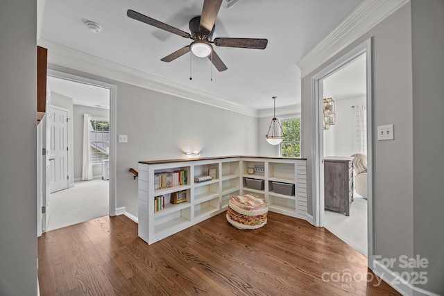 16028 Cranleigh Dr, Huntersville, NC 28078 - spare room with ceiling fan, wood finished floors, baseboards, and ornamental molding