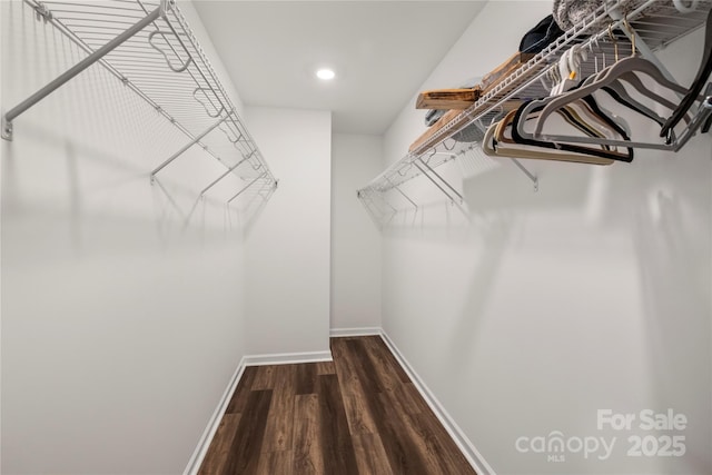 3009 Lydney Cir, Waxhaw, NC 28173 - walk in closet with dark wood-type flooring