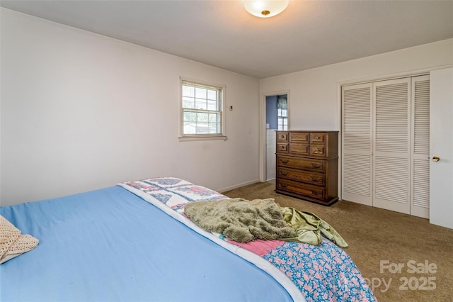 765 York Institute Rd, Hiddenite, NC 28636 - bedroom with carpet floors and a closet