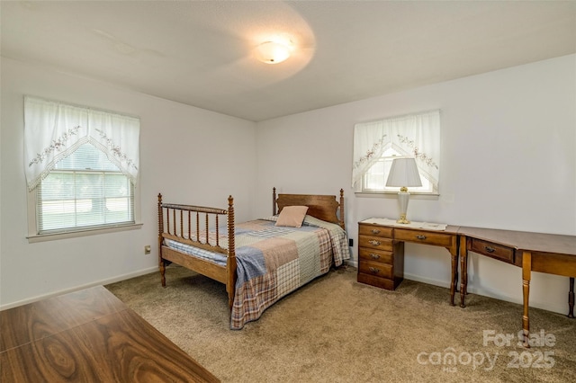 765 York Institute Rd, Hiddenite, NC 28636 - bedroom featuring multiple windows, light colored carpet, and baseboards