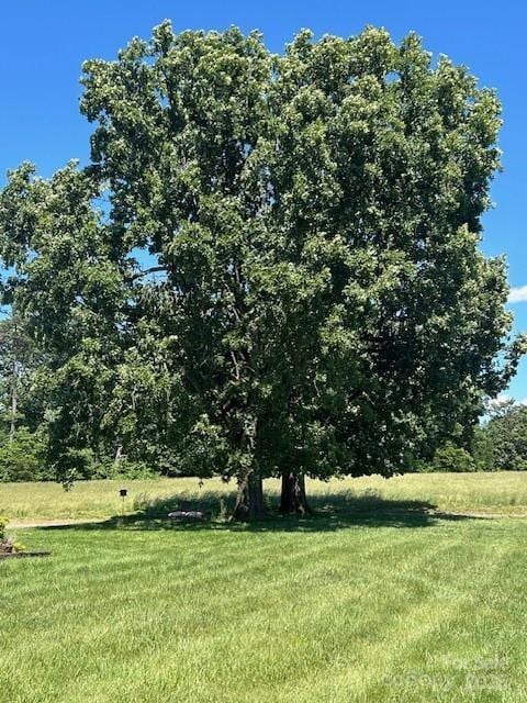 765 York Institute Rd, Hiddenite, NC 28636 - view of grassy yard