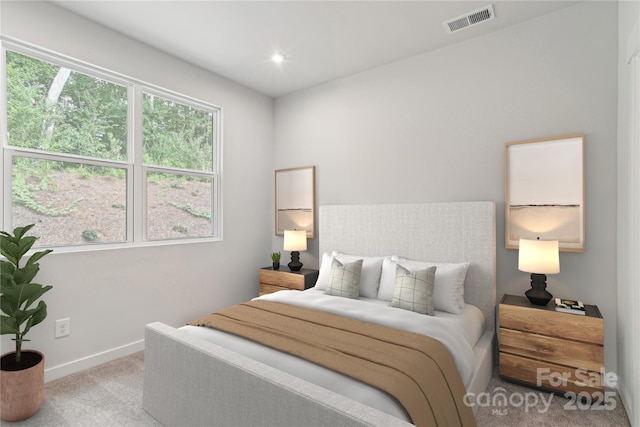 3034 Finchborough Ct Unit 233, Charlotte, NC 28269 - bedroom with carpet, baseboards, and recessed lighting