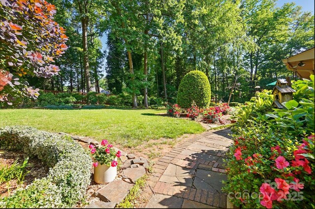 308 Odell St, Kannapolis, NC 28083 - view of green lawn