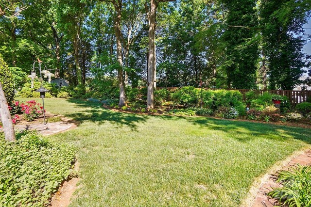 308 Odell St, Kannapolis, NC 28083 - view of yard