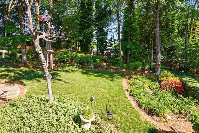 308 Odell St, Kannapolis, NC 28083 - view of yard