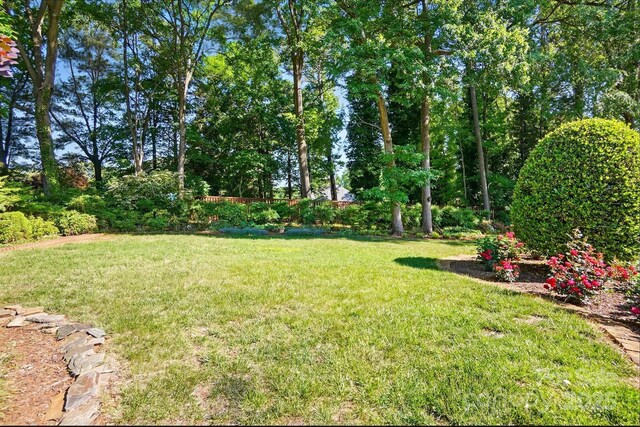 308 Odell St, Kannapolis, NC 28083 - view of grassy yard