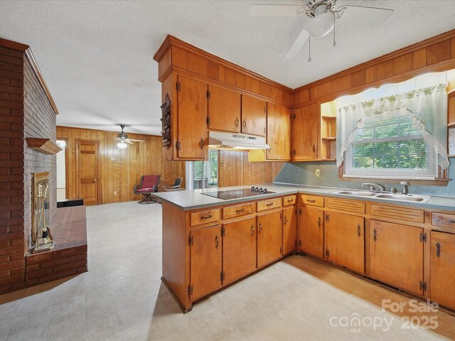 2216 Griffith Rd, Monroe, NC 28112 - kitchen with ceiling fan, a sink, black electric cooktop, brown cabinets, and a textured ceiling