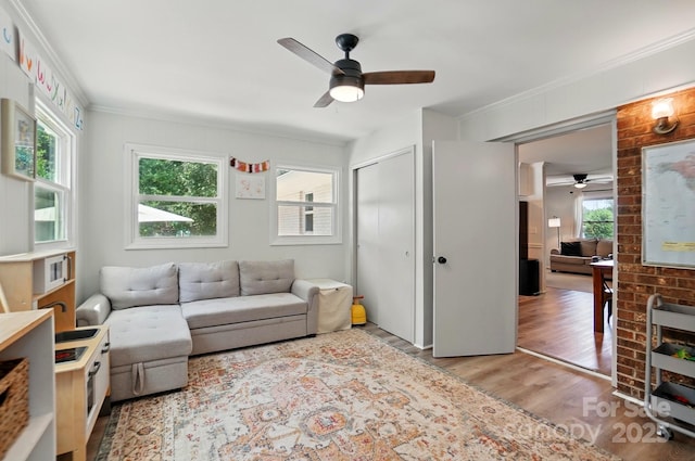 103 W Sunset Dr, Locust, NC 28097 - living room with a ceiling fan, light wood finished floors, and crown molding