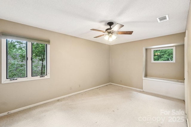 8117 Rising Meadow Rd, Charlotte, NC 28277 - unfurnished room featuring carpet floors, plenty of natural light, and baseboards