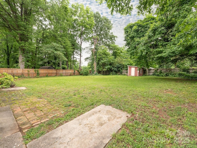 5629 Ruth Dr, Charlotte, NC 28215 - view of yard