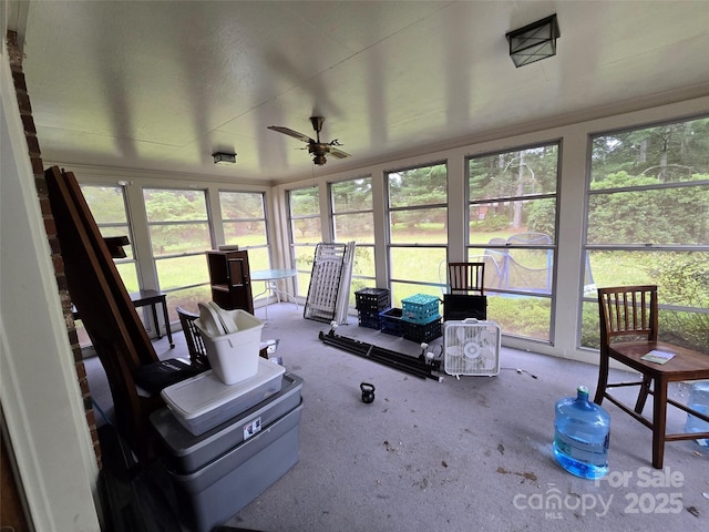 116 E Graves St, Candor, NC 27229 - sunroom with carpet flooring, a ceiling fan, and healthy amount of natural light