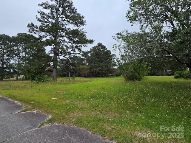 116 E Graves St, Candor, NC 27229 - view of yard