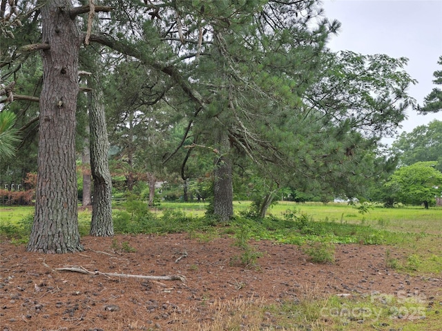 116 E Graves St, Candor, NC 27229 - view of nature