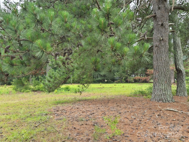 116 E Graves St, Candor, NC 27229 - view of yard