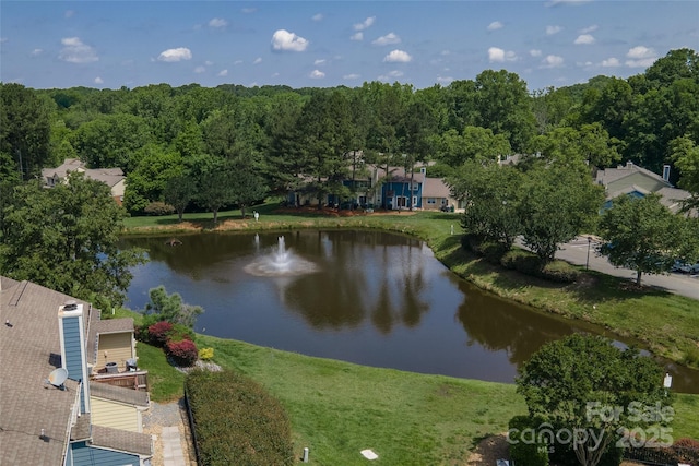 9006 Four Mile Creek Rd, Charlotte, NC 28277 - water view