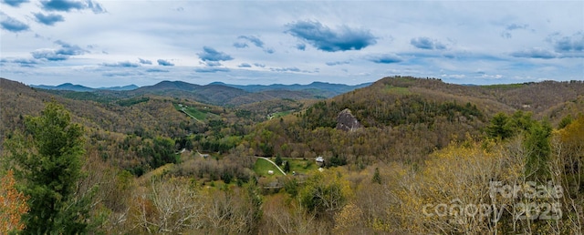 LOT15 Shirley Pressley Rd Unit 15, Glenville, NC 28736