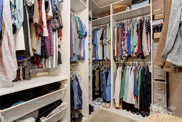 2024 Stonewyck Ave, Kannapolis, NC 28081 - view of walk in closet