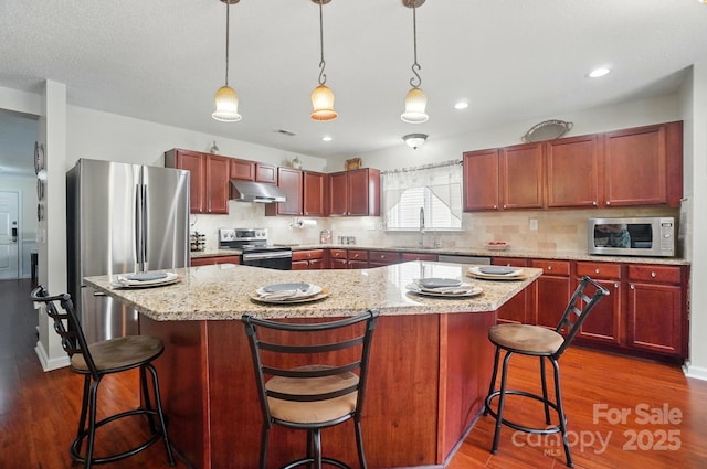 512 Nanny Point Dr, Monroe, NC 28110 - kitchen featuring appliances with stainless steel finishes, under cabinet range hood, a sink, dark wood-style floors, and recessed lighting