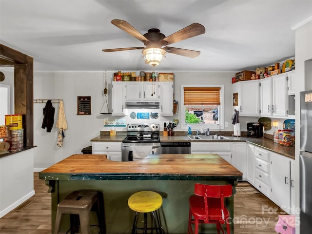 49 Trimont Mountain Trl, Franklin, NC 28734 - kitchen featuring appliances with stainless steel finishes, a sink, ceiling fan, white cabinets, and ornamental molding