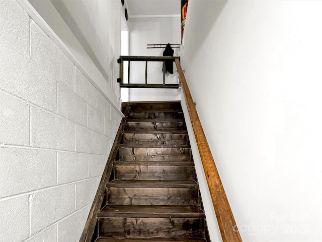 49 Trimont Mountain Trl, Franklin, NC 28734 - staircase featuring concrete block wall