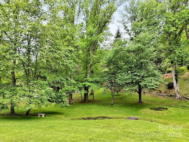 49 Trimont Mountain Trl, Franklin, NC 28734 - view of grassy yard