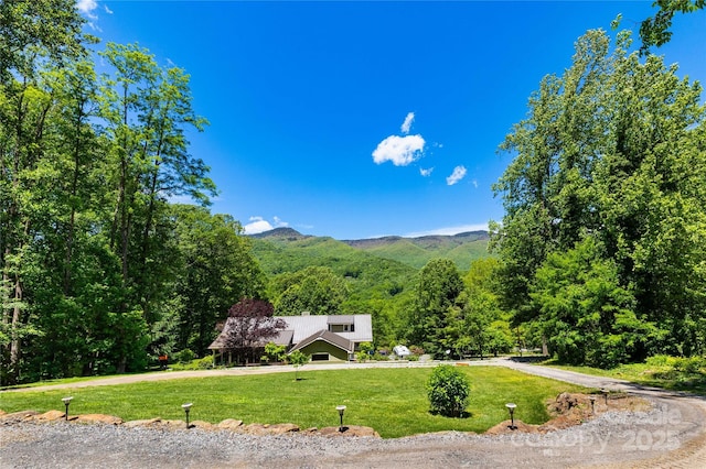 33 Freedom Dr, Waynesville, NC 28786 - view of mountain background featuring a heavily wooded area