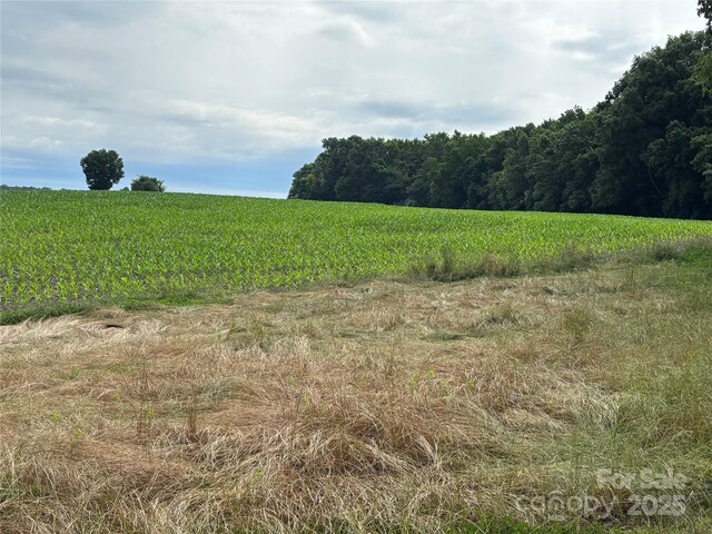 0 Wolf Pond Rd, Monroe, NC 28112 - photo 9
