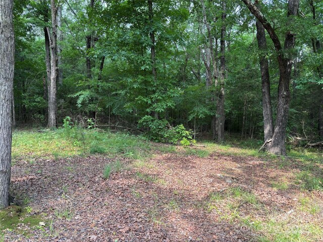 0 Wolf Pond Rd, Monroe, NC 28112 - photo 11