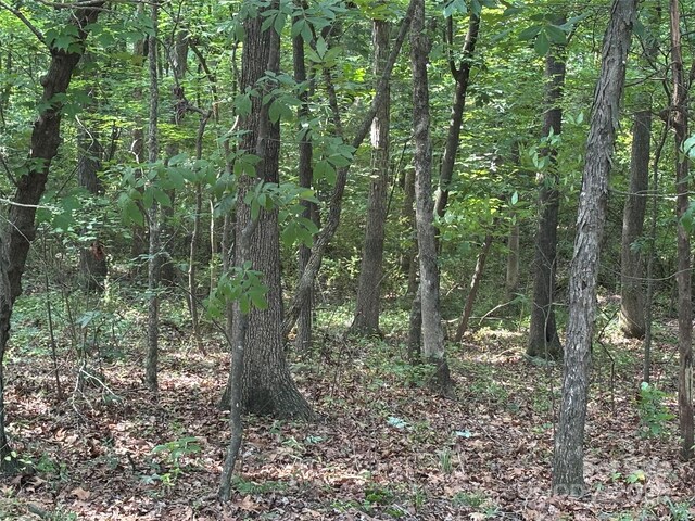 0 Wolf Pond Rd, Monroe, NC 28112 - photo 12