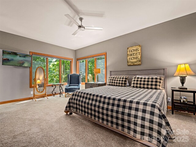 117 Little Cherokee Rdg, Hendersonville, NC 28739 - photo 38