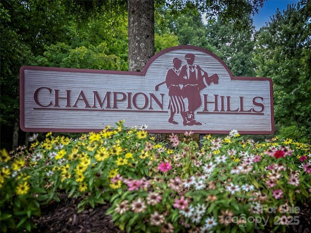 117 Little Cherokee Rdg, Hendersonville, NC 28739 - photo 47