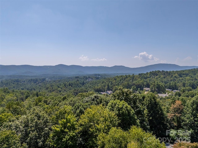 117 Little Cherokee Rdg, Hendersonville, NC 28739 - photo 48