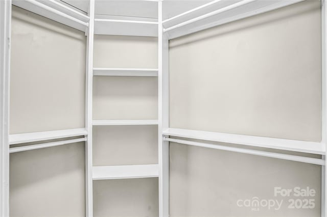 753 SW Dr, Davidson, NC 28036 - view of spacious closet