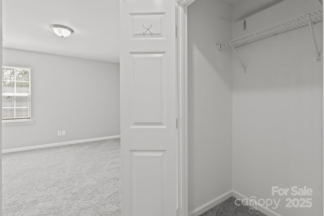 252 Sweet Bay Ln NW, Concord, NC 28027 - view of closet
