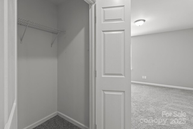 252 Sweet Bay Ln NW, Concord, NC 28027 - view of closet