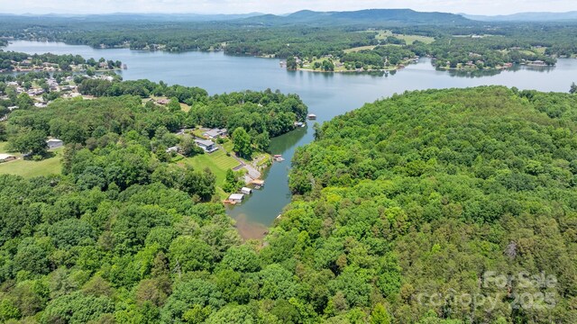 6256 Monford Dr, Conover, NC 28613 - photo 35